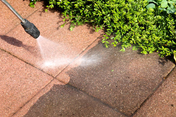 Best Commercial Building Pressure Washing  in Billings, MT